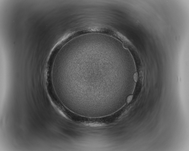 X0000087520730200704271140