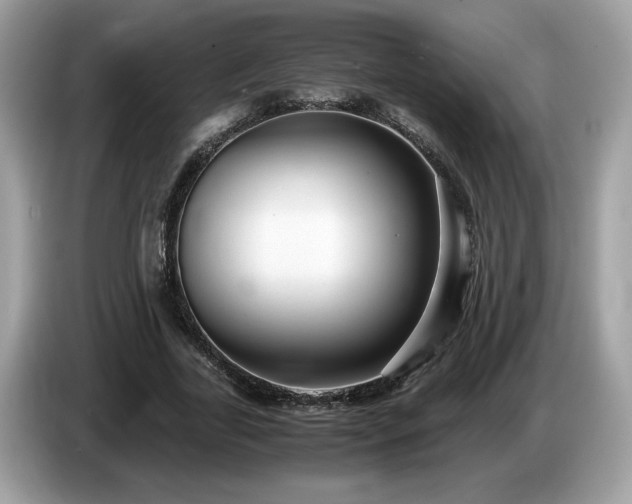 X0000087520731200704271140