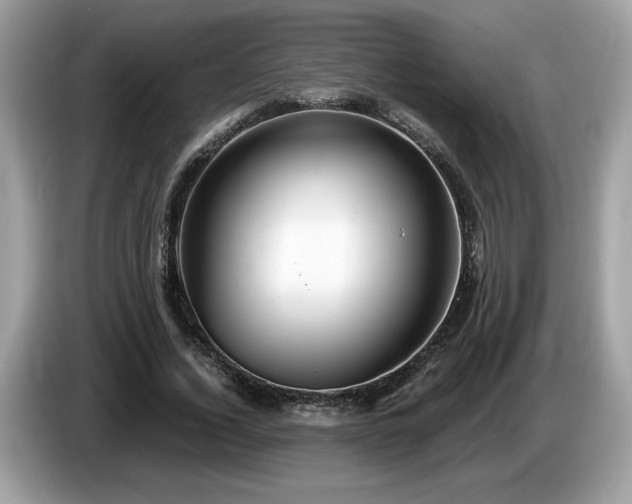 X0000087520732200704271140