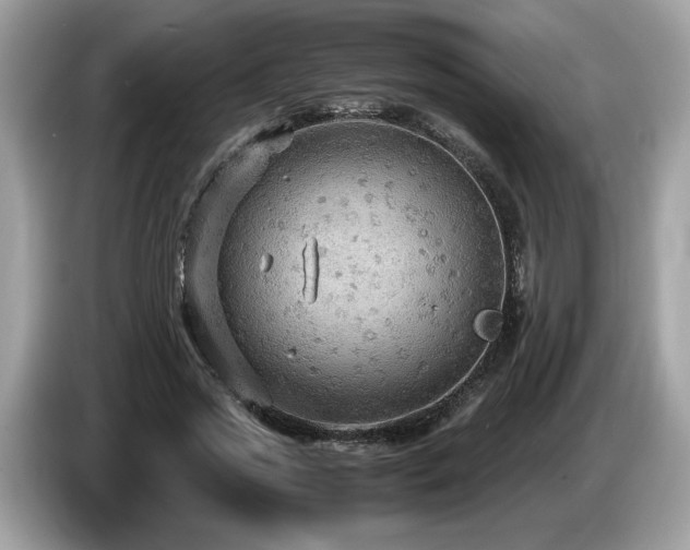 X0000087520733200704271140