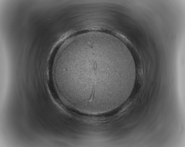 X0000087520734200704271140