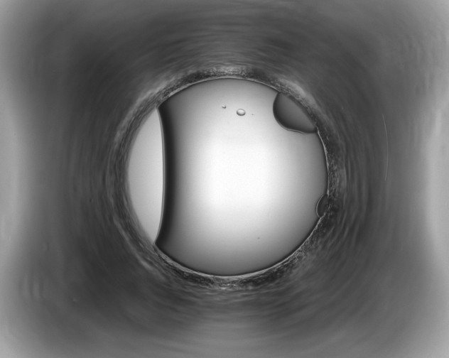 X0000087520736200704271140