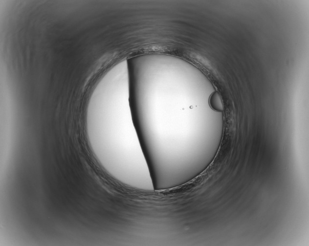 X0000087520738200704271140