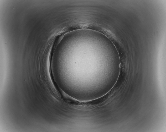 X0000087520740200704271140