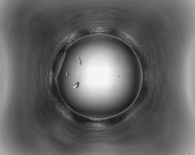 X0000087520741200704271140