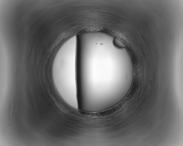 X0000087520742200704271140