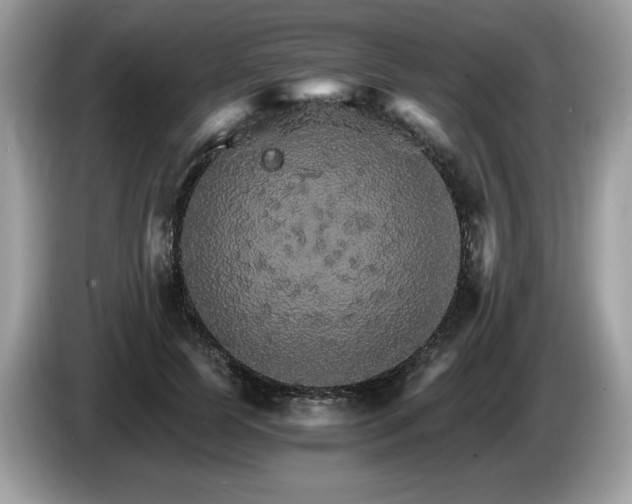 X0000087520745200704271140