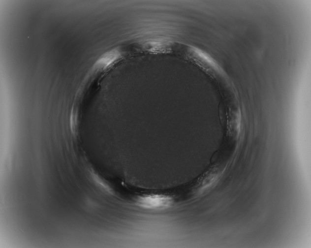 X0000087520748200704271140