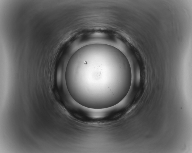 X0000087520750200704271140