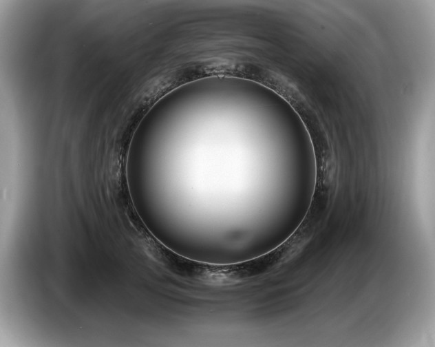 X0000087520753200704271140