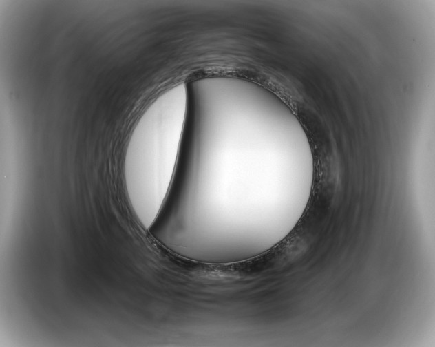 X0000087520755200704271140