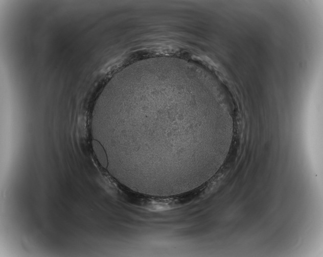 X0000087520757200704271140