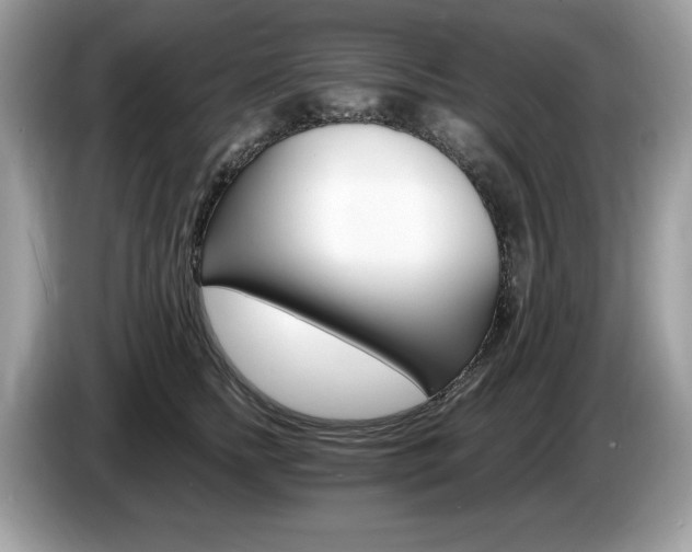 X0000087520758200704271140