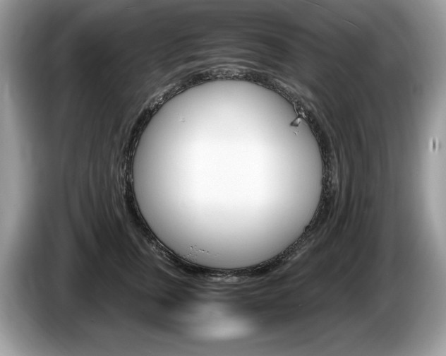 X0000087520759200704271140