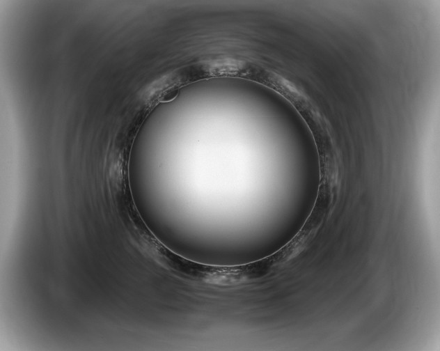 X0000087520761200704271140