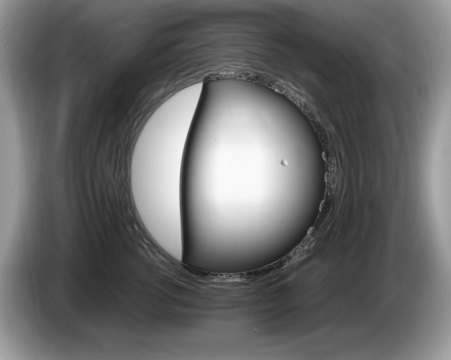 X0000087520762200704271140