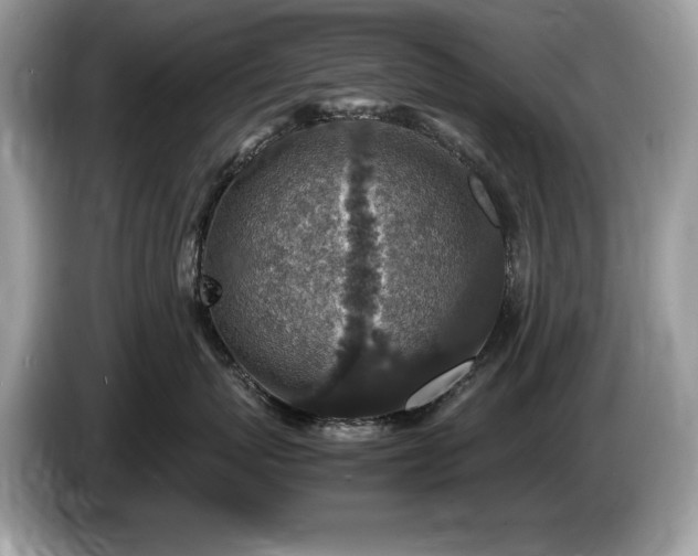 X0000087520767200704271140