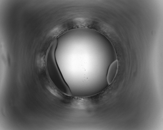 X0000087520768200704271140
