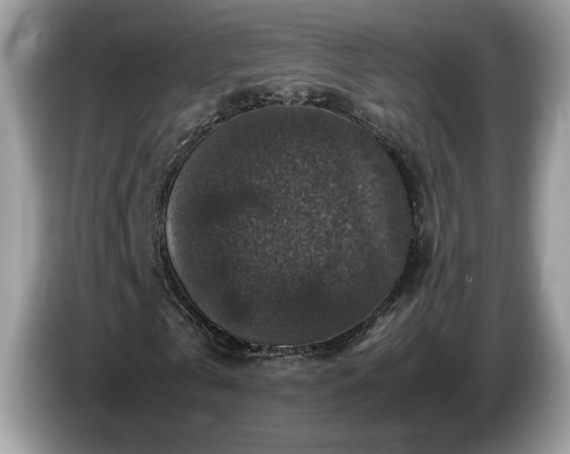 X0000087520769200704271140