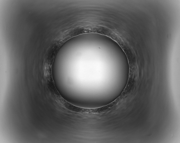 X0000087520770200704271140