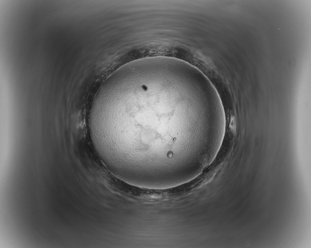 X0000087520771200704271140