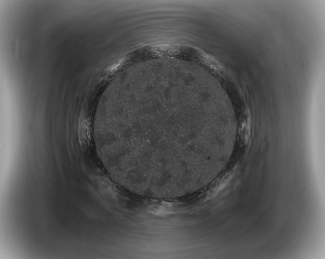 X0000087520772200704271140