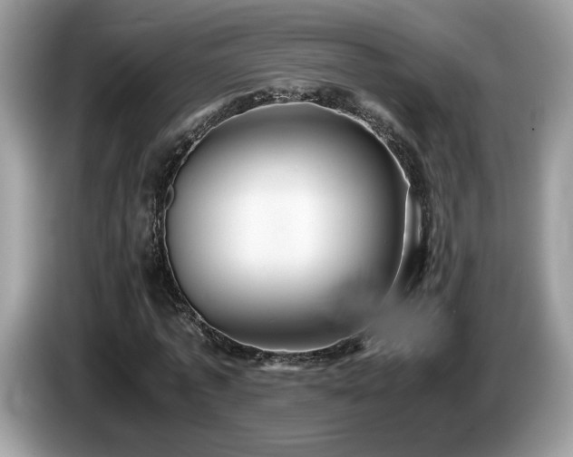 X0000087520773200704271140