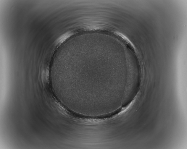 X0000087520777200704271140