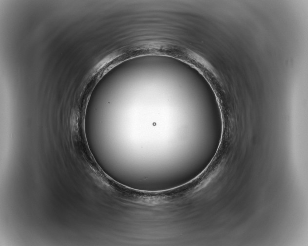X0000087520778200704271139