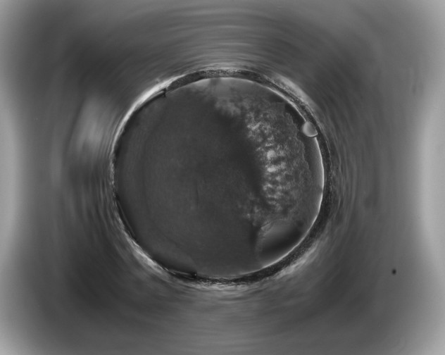 X0000087520779200704271139