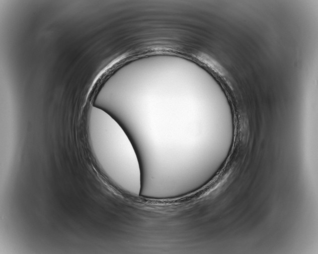 X0000087520782200704271139