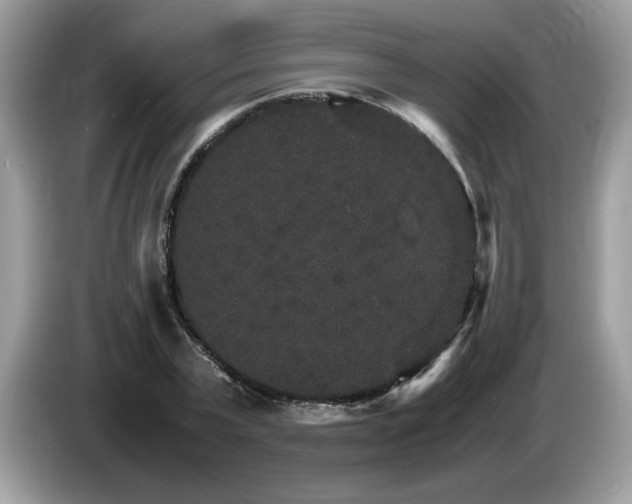 X0000087520783200704271139