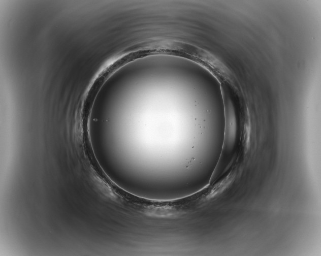 X0000087520784200704271139