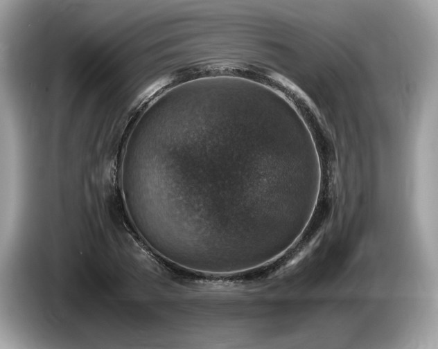 X0000087520785200704271139
