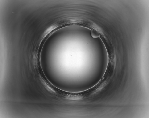 X0000087520786200704271139