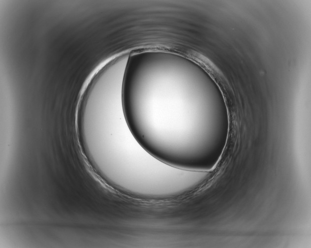 X0000087520788200704271139