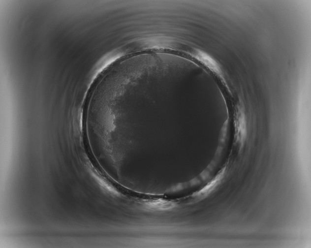 X0000087520790200704271139
