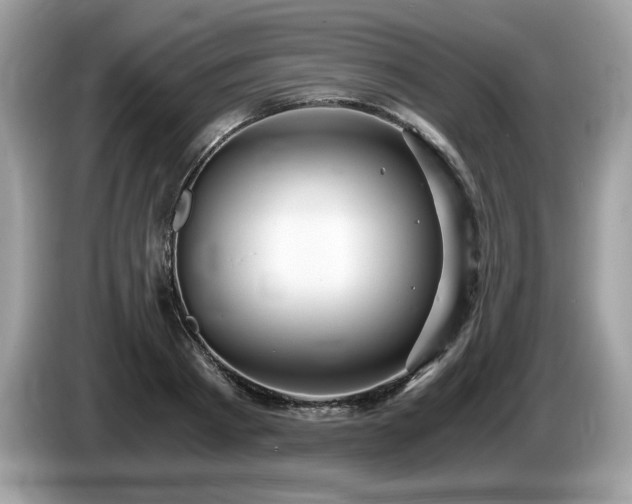 X0000087520793200704271139