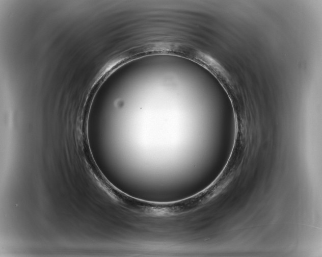 X0000087520794200704271139