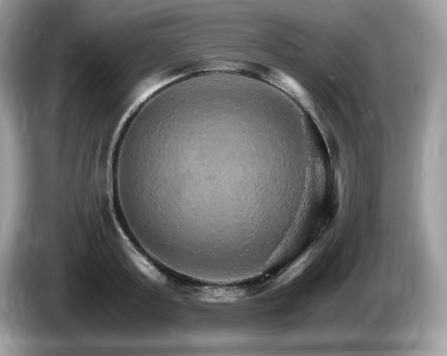 X0000087520795200704271139