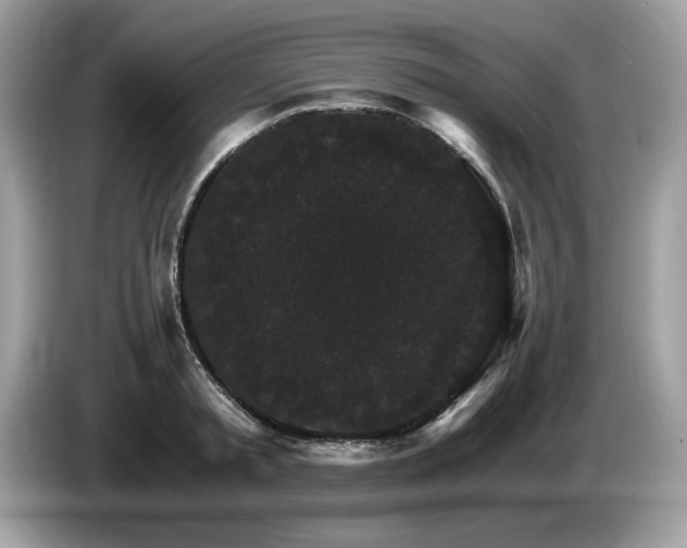 X0000087520797200704271139