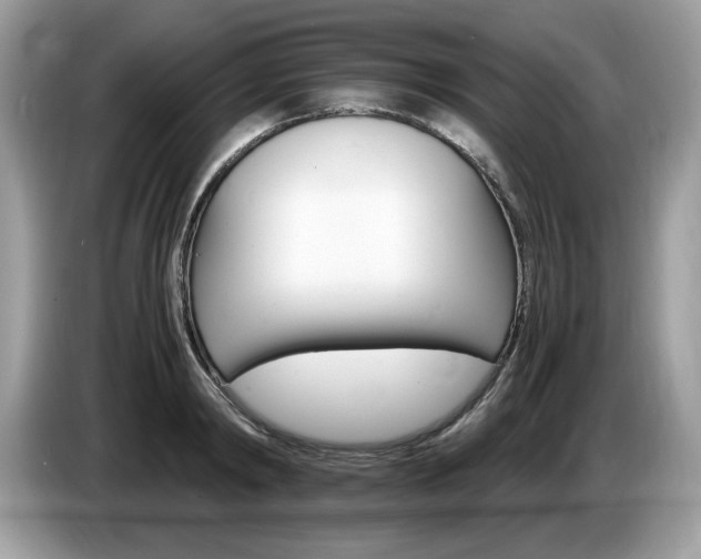 X0000087520798200704271139