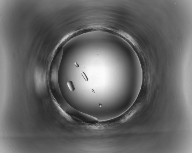 X0000087520799200704271139