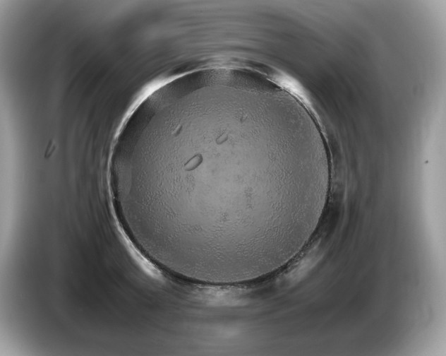 X0000087520803200704271139
