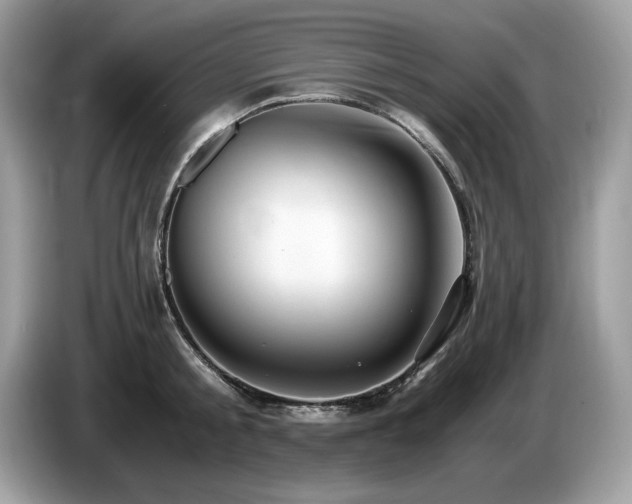 X0000087520805200704271139