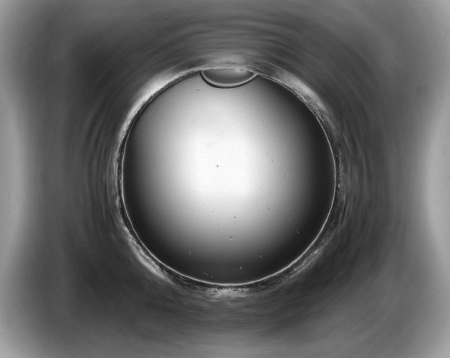 X0000087520808200704271139
