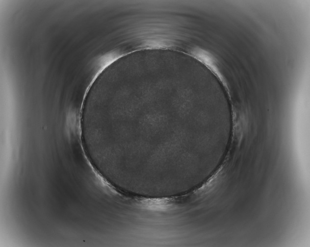 X0000087520810200704271139