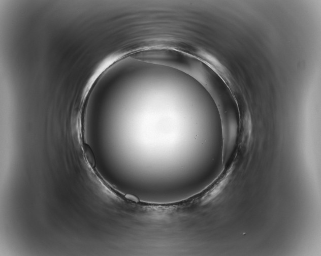 X0000087520812200704271139
