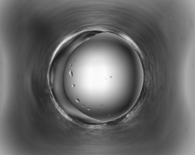 X0000087520813200704271139