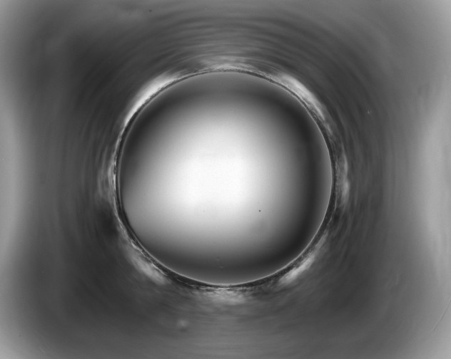 X0000087520814200704271139